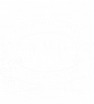 Koszulka męska Be strong and courageous