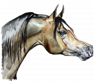 koń profil