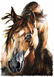 koń portret