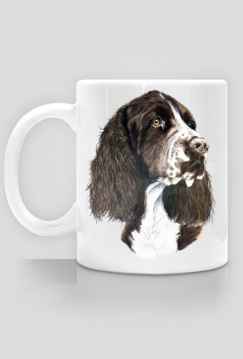 Springer spaniel - ArtKaska.pl