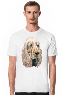 Spaniel - ArtKaska.pl