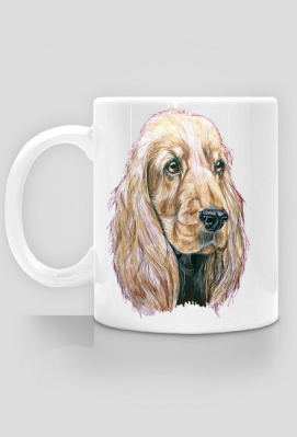 Spaniel - Psina