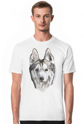 Syberian Husky - Psina