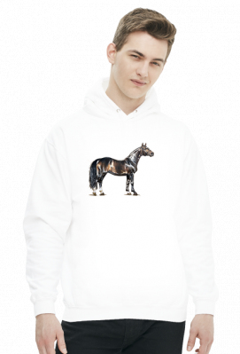 koń hanowerski - Equus ArtKaska.pl