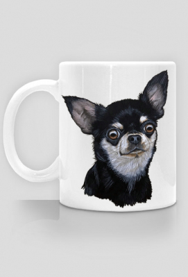 czarny chihuahua - Psina