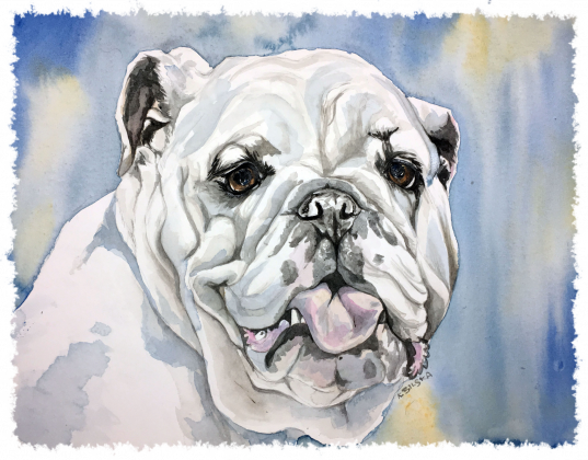 Bulldog