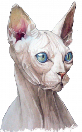 sfinx