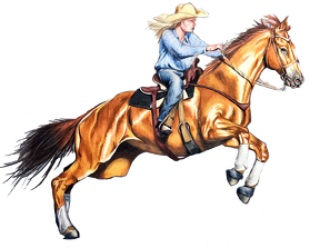 Cowgirl koń
