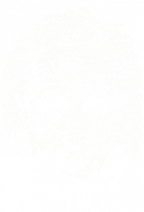 KOSZULKA-E=mc2