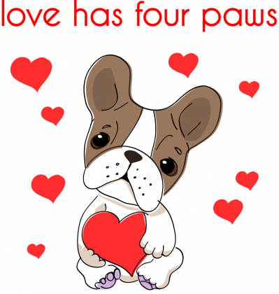 love has four paws