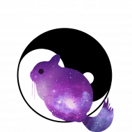 Chinchilla Joga