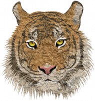 Bluza Męska Varsity Jacket