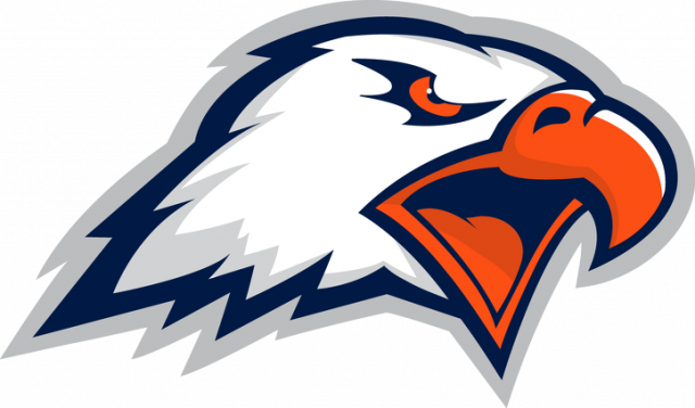 t-shirt eagle