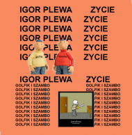 igor plewa zycie