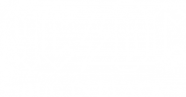 Bug In Black