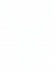 Deer Koszulka
