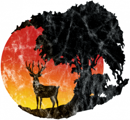 Polski Związek Łowiecki