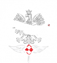 AeroStyle - bluza damska Polish Air Force F16