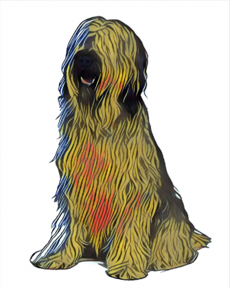 Briard