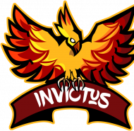 Bluza Invictus Esports