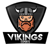 Czapka Vikings Esports