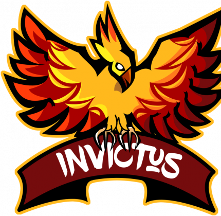 Bluza Invictus Esports