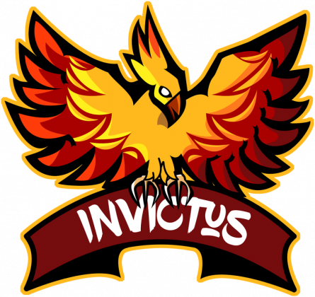 Bluza bez kaptura Invictus Esports