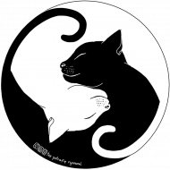 Koty - torba kolor/czarna