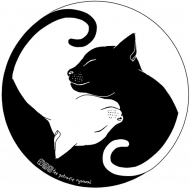 Koty - koszulka damska kolor/czarna