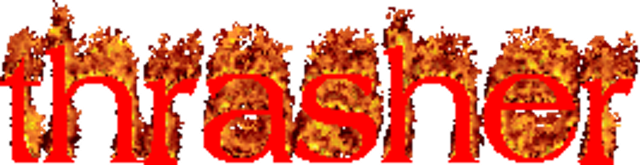 thrasher flame logo yes yes