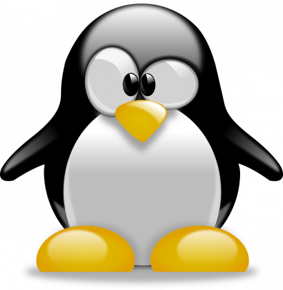 Koszulka Męska Pingwin