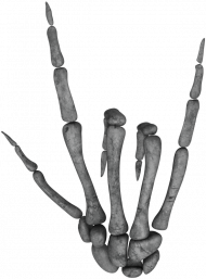 ROCK ON