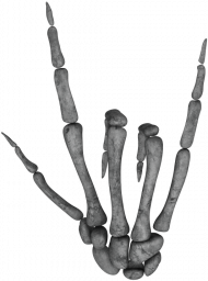 ROCK ON