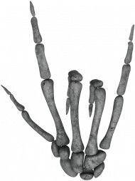 ROCK ON