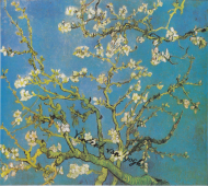 Vincent van Gogh Kwitnący migdałowiec.