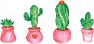 Kubek z kaktusami
