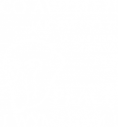 Koszulka kurier ,,CO AWIZO?!"