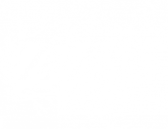 ZZW_4a