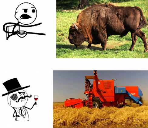 Koszulka Mem Bizon