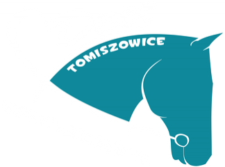 Duet bluza męska czarna