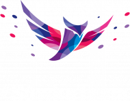 Koszulka damska #Sówka #TeamRR