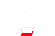 Koszulka Długopis 2020 - Wybory 2020
