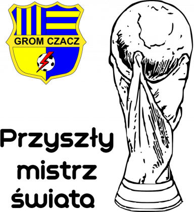 Koszulka Mistrz Grom Dziecko
