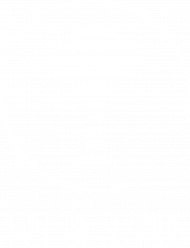 Bluza z kapturem Tree of sounds W3