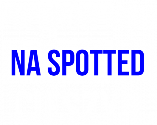 Koszulka Spotted: Cieszyn niebieska "Pozdrów mnie"