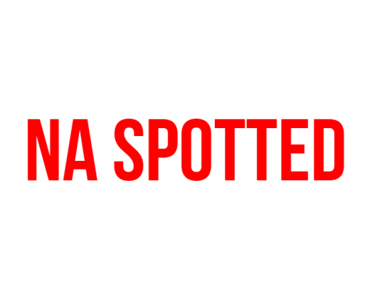 Koszulka Spotted: Cieszyn czerwona "Pozdrów mnie"