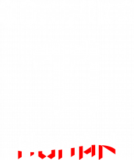 11 DOMINIKA MAN