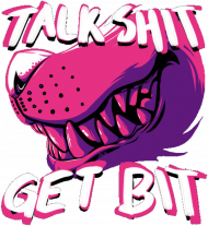 Talk shit get bit