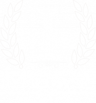 Bluza Dembowski krój 4