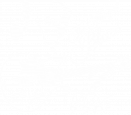 The King of Blues - B.B. King